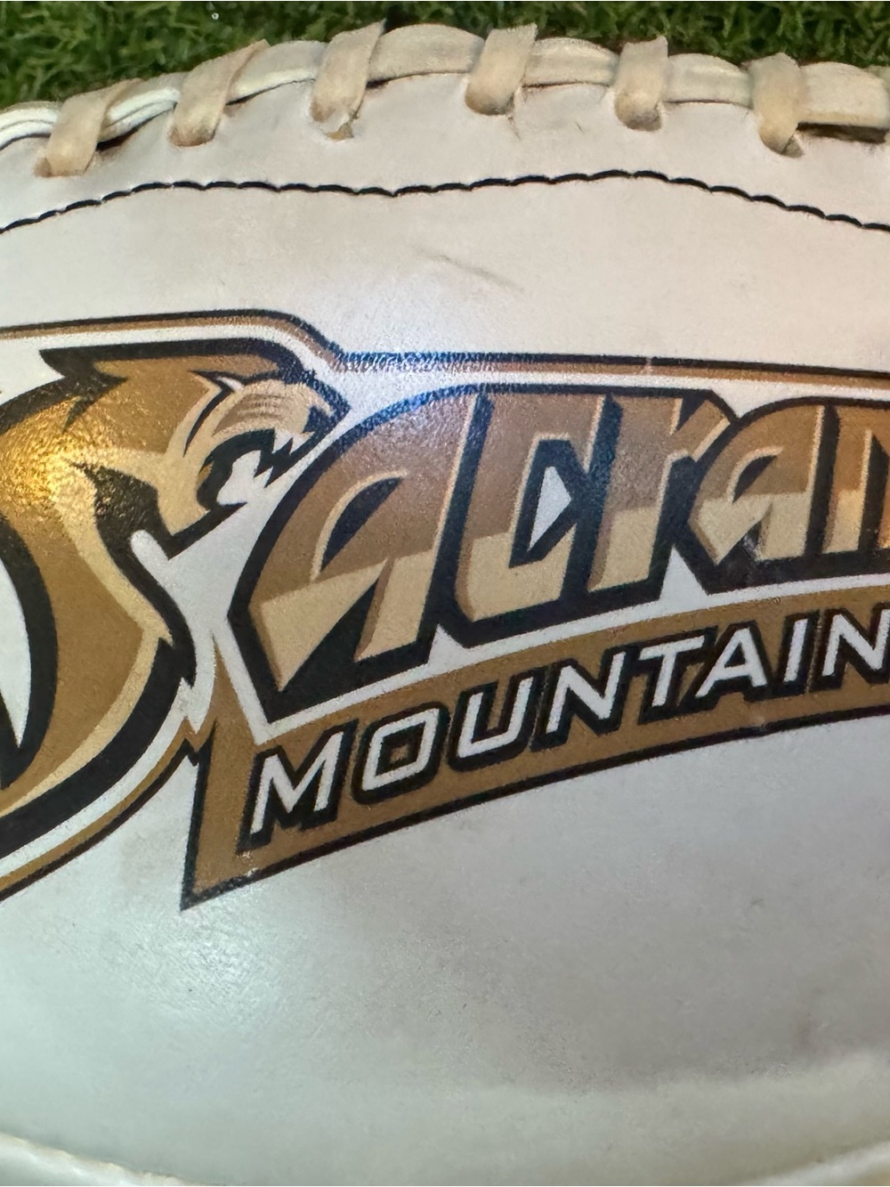 Sakari Mountain White and Gold Decorative Football